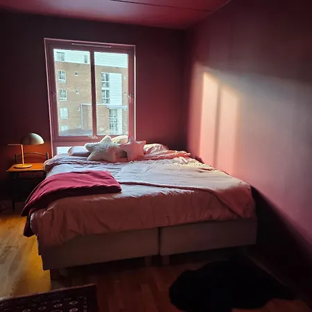 Bright And Modern 2-room With A Sunny Balcony Oslo